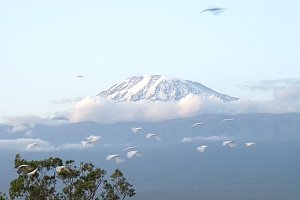 Mount_Kilimanjaro