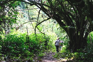 Trekkings_in_Mahale_Mountains_National_Park