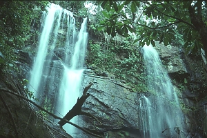 Zumbe_Kuu_Falls__East_Usambara_Mountains